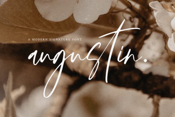 Augustin Script Font for Web Design