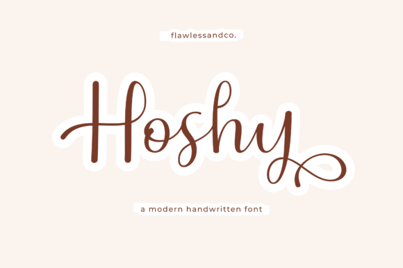 Choosing Hoshy for a Modern Web Design Project