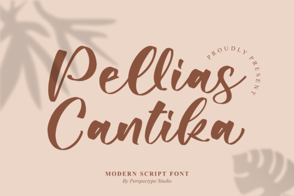 Pellias Cantika: A Modern Script Font for Branding