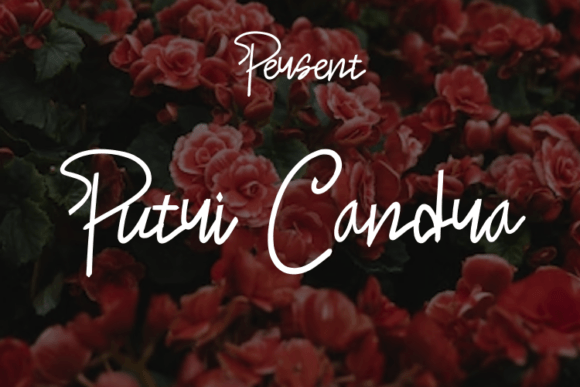 Putri Candra: A Modern Script Font for Digital Branding